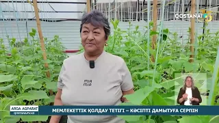 Мемлекеттік қолдау тетігі – кәсіпті дамытуға серпін