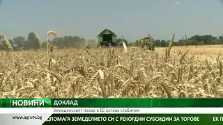 ДОКЛАД: Земеделският пазар в ЕС остава стабилен