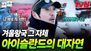 영화에서만 보던 겨울왕국이 바로 눈앞에...❗ 볼수록 감탄 나오는 아이슬란드 대자연 | 현지인브리핑지금우리나라는