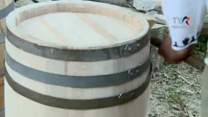 2025 11 29 Satul Meu