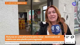 They threw a brick through a paint store window and broke in to steal