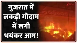 Gujarat News : गुजरात में लकड़ी गोदाम में लगी भयंकर आग! Breaking News