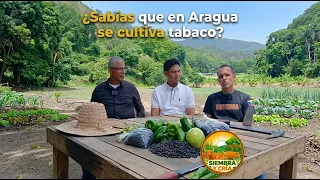 SIEMBRA Y CRÍA - REVENGA MUNICIPIO PRODUCTIVO