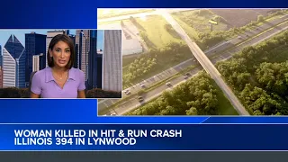 Woman killed in hit-and-run on Illinois Route 394 in Lynwood