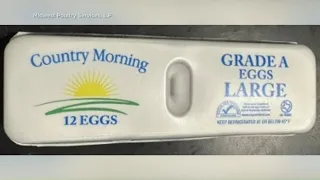 Louisiana salmonella outbreak linked to recalled eggs sickens 7 people