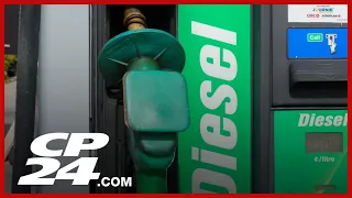 Record high diesel prices impacting Canadian drivers and businesses