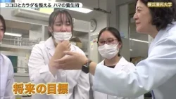ハマナビ　2026年10月10日放送　ココロとカラダを整える　ハマの養生術