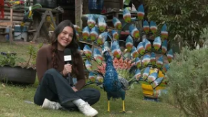 #EnlaceTrece | De llantas a arte: la historia de Carlos, el reciclador creativo de Sesquilé