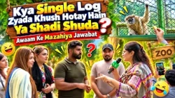 Are Single People Happier or Married Ones? | Funny Public Responses | Kay2TV