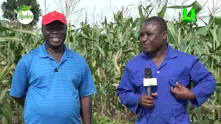 AYEKOO: THE SAVIOUR CHURCH MEMBERS WORK TOWARDS GHANA FOOD SECURITY