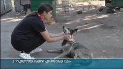 "Volunteer of the Year" contest launched in Transnistria