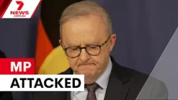 Anthony Albanese and Tony Burke address horrific Helen Haines incident | 7NEWS