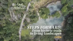 Steps forward: From historic trails to living landscapes