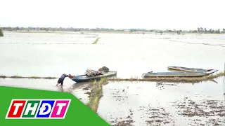Floodwaters Nearing the Fields, Border Residents Excited 2