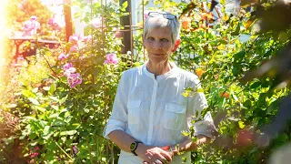 Helga snuppede en blomst i berømt have