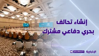 Joint Statement Issued on the Establishment of the Defensive Maritime Coalition