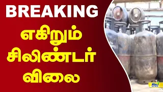 எகிறும் சிலிண்டர் விலை! #lpgcylinder #cylinderpricehike #gascylinder #breakingnews