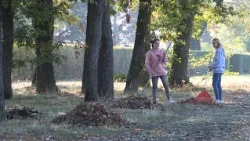 Önkéntesek a Szent Mihály temetőben
