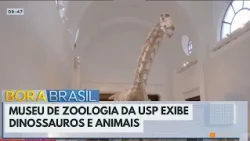 USP Museum of Zoology exhibits dinosaurs and animals in Ipiranga | Bora Brasil