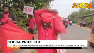 Post Farmers Demo: Gov't urged to support farming to encourage more youth to venture into the sector