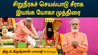 சிறுநீரகச் செயல்பாடு சீராக இயங்க யோகா முத்திரை | Krishnan Balaji | MEGA TV