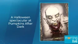 A Halloween spectacular at Pumpkins After Dark