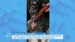 Gang arrested after attempting to rob fish restaurant owner; car and weapons seized
