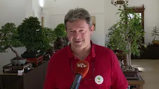 Porcijunkulovo 2026 - 1. kolovoza