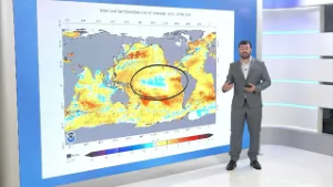 Chuvas agrícolas ajudam a manter saúde dos cafezais em região do ES | Será Que Chove?