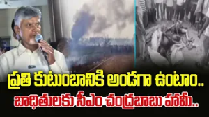 ప్రతి కుటుంబానికి అండగా ఉంటాం..బాధితకు సీఎం చంద్రబాబు హామీ..CM Chandrababu On Kakinada Fire Incident