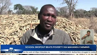MAHANGU FARMING HELPS WOMAN SUPPORT FAMILY - nbc