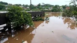 Families abandon their homes due to flooding in Ciudad del Este