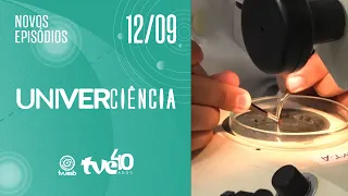 CASTOR BEANS, ANTS, ESSENTIAL OILS AND AI ON UNIVERCIÊNCIA | TVE BAHIA 09/12/2026