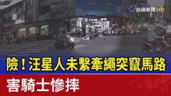DANGER! Unleashed Dog Bolts into Road, Causes Rider to Crash