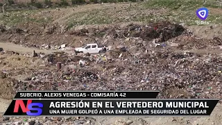 AGGRESSION AT THE MUNICIPAL LANDFILL WEB