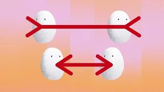 ハチエモン「やじるしの錯覚」2026