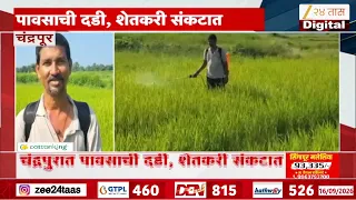 Chandrapur No Rain | चंद्रपुरात पावसाने दडी मारल्याने शेतकरी संकटात