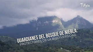 Guardians of the Cloud Forest: Protectors of Biodiversity - TvAgro by Juan Gonzalo Angel
