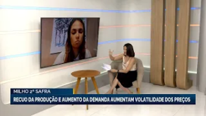 Milho 2ª safra: recuo da produção e aumento da demanda aumentam volatilidade dos preços