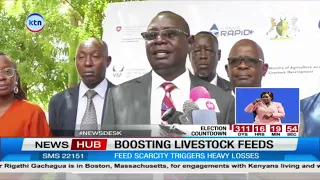 Livestock Feed Crisis: Kenya Pushes to Close Huge Pasture Production Gap