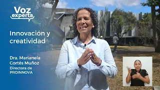 Voz Experta: Innovación y creatividad