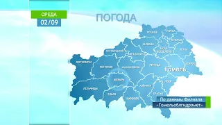 Погода в Гомеле и Гомельской области 2 сентября