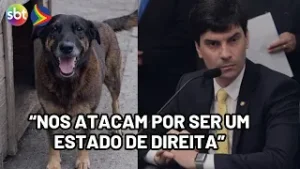 Cão Orelha: delegado de SC critica esquerda após ataques