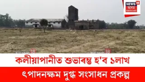 Teok News : কলীয়াপানীত শুভাৰম্ভ হ'ব ১লাখ উৎপাদনক্ষম দুগ্ধ সংসাধন প্ৰকল্প | N18V