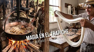 Magic at the sugar mill: The step-by-step whitening process - TvAgro by Juan Gonzalo Angel