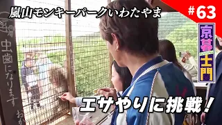Episode 63: Kyo-Bushi Mon "A Long-Awaited Visit to Arashiyama Monkey Park Iwatayama" - 06/19/2026...