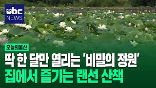 The 'Secret Garden' That Opens Only One Month a Year... A Virtual Walk You Can Enjoy at Home