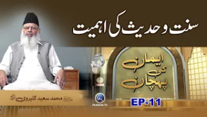Sunnat o Hadees Ki Ahmiyat | Iman ki Pehchan EP11 | Prof. Saeed Kalervi