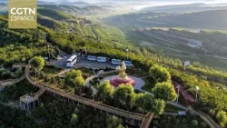 Pengyang's "Great Green March", a "Great Green Wall"