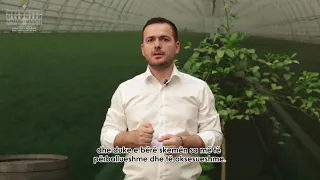 Top Channel/ Skema e re e sigurimeve për fermerët, Salla: Do t’i mbrojë nga dëmet